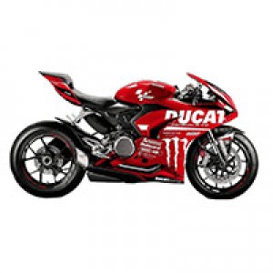 Carénage Ducati Panigale V2 Vendre