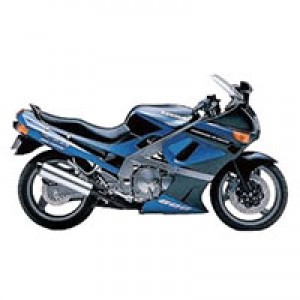 Carénage Kawasaki ZZR600 1998-2003 Vendre