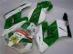 Carénage Honda CBR 1000 RR 04-05 - Vert Blanc Carénage Honda CBR 1000 RR 04-05 - Vert Blanc