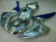 Carénage Honda CBR 1000 RR 06-07 - Bleu Flamme Argent Carénage Honda CBR 1000 RR 06-07 - Bleu Flamme Argent