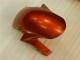 Carénage Honda CBR 1000 RR 06-07 - Brun Carénage Honda CBR 1000 RR 06-07 - Brun