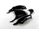 Carénage Kawasaki ZX14R ZZR 1400 12-21 - Noir Vert Carénage Kawasaki ZX14R ZZR 1400 12-21 - Noir Vert