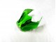 Carénage Kawasaki ZX14R ZZR 1400 12-21 - Vert Noir Carénage Kawasaki ZX14R ZZR 1400 12-21 - Vert Noir