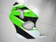 Carénage Kawasaki ZX6R 00-02 - Vert Blanc Noir Carénage Kawasaki ZX6R 00-02 - Vert Blanc Noir