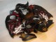 Carénage Suzuki GSXR 1300 Hayabusa 96-07 - Noir Rouge Flamme Carénage Suzuki GSXR 1300 Hayabusa 96-07 - Noir Rouge Flamme