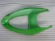 Carénages Kawasaki ZX6R 05-06 - Vert Carénages Kawasaki ZX6R 05-06 - Vert