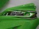 Kit Carénages Complet Kawasaki EX250 08-12 - Vert Noir Kit Carénages Complet Kawasaki EX250 08-12 - Vert Noir