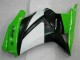 Kit Carénages Kawasaki EX250 08-12 - Vert Noir Ninja Kit Carénages Kawasaki EX250 08-12 - Vert Noir Ninja
