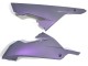 Carénages Moto Kawasaki EX300 2013-2024 - Caméléon Gris Dazz Violet Perle