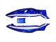 Carénages Moto Yamaha YZF600R Thundercat 1996-2007 - Bleu Blanc Noir