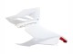 Carénages Moto Ducati Panigale V2 2020-2024 - Blanc Rouge Noir Mat
