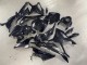 Carénages Moto BMW S1000RR 2023-2024 - Noir Brillant Fibre de Carbone