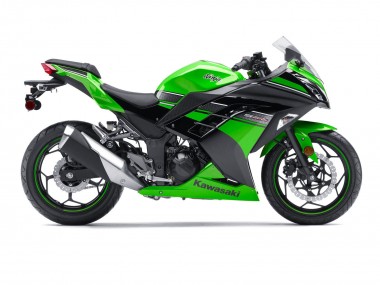 Carénage Moto Kawasaki EX300 2013-2024 - Vert Noir Vendre