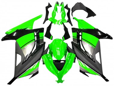 Carénages Moto Kawasaki EX300 2013-2017 - Vert Argent Noir Vendre