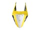Carénages Moto Yamaha YZF R3/R25 2019-2021 - Jaune Blanc Noir Bande