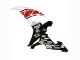 Carénages Moto Yamaha YZF 1000 R1 2002-2003 - Blanc Rouge Noir Castrol