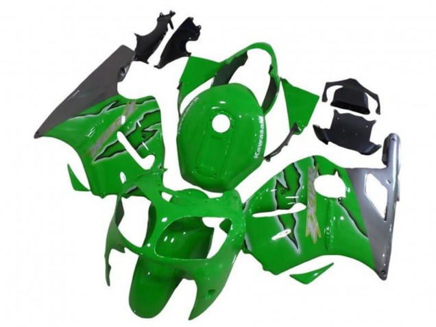 Carénages Moto Kawasaki ZX12R 2002-2006 - Vert Argent